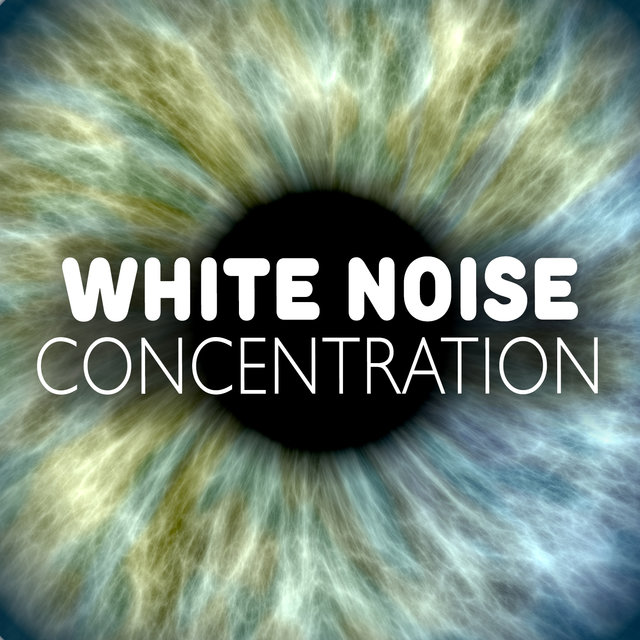White Noise Concentration