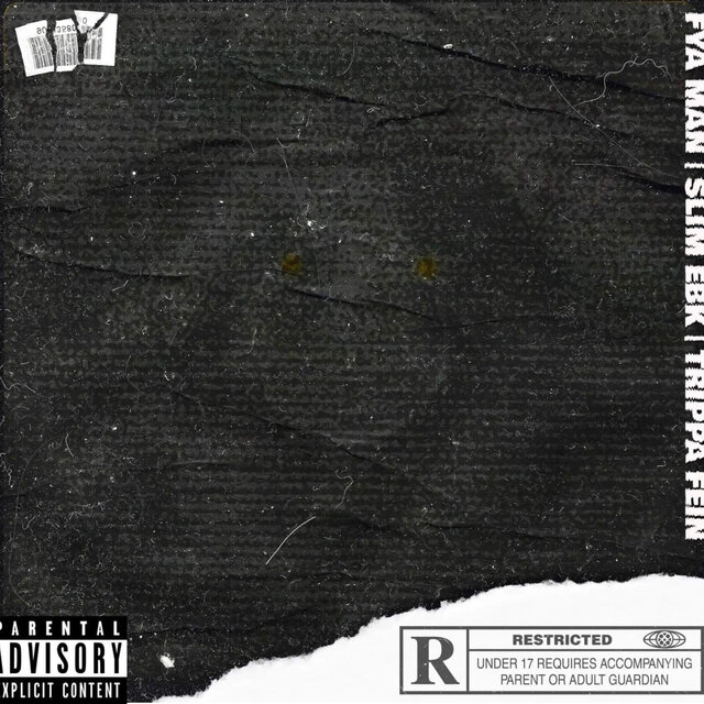 Run Up Get Done Up (feat. Trippa Fien & SlimEBK)