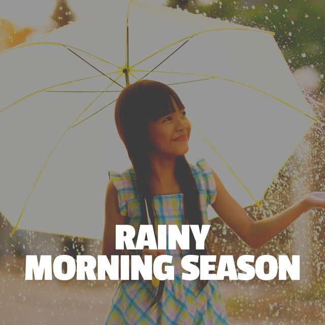 Rainy Morning Season