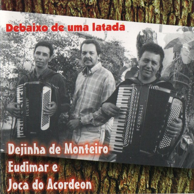 Debaixo de uma latada