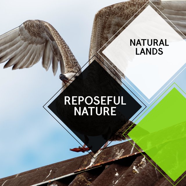 Reposeful Nature - Natural Lands