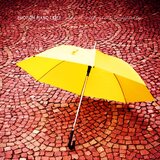 In the rain