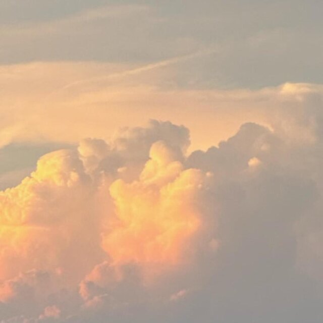 free sky (feat. Azie Bug) by Lil Wet Wet on TIDAL
