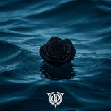 Black Rose