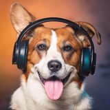 Relaxation Canine Tunes