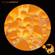 Cover art for album Afterglow by Off Land