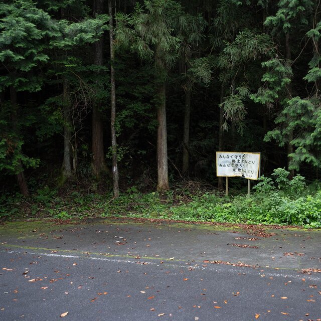 The Tree Temple