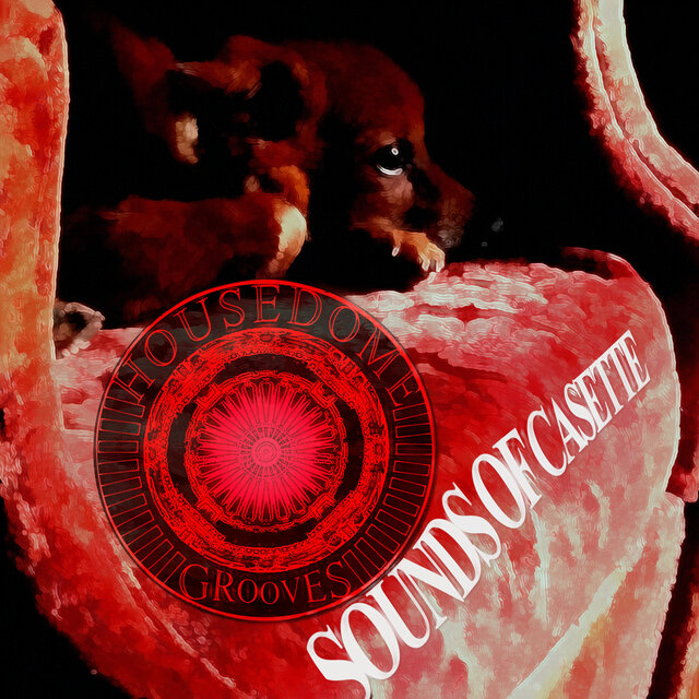 Sounds of Casette (Housedome Grooves)