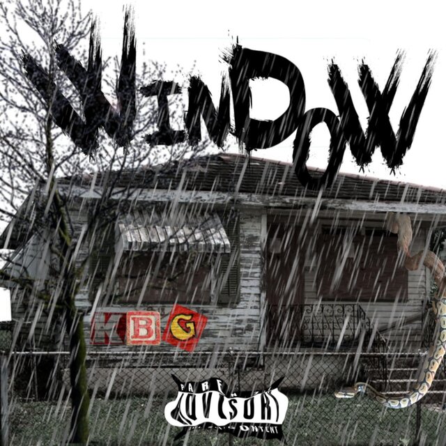 Window