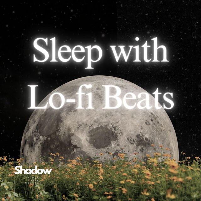 Sleep with Lo-fi Beats