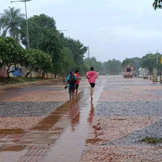 Chuva E Orla