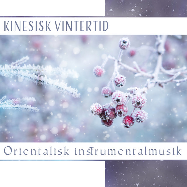 Kinesisk vintertid - Orientalisk instrumentalmusik, Zen harmoni, Stund av avslappning och kontemplation
