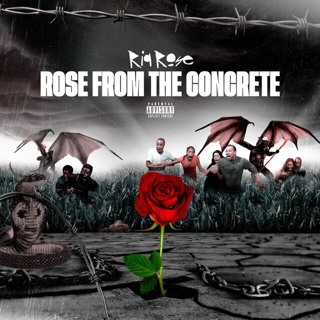 Rose From The Concrete