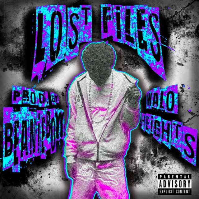 WaloHeights-Lost Files (Prod Beanieboyy)