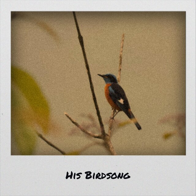 His Birdsong