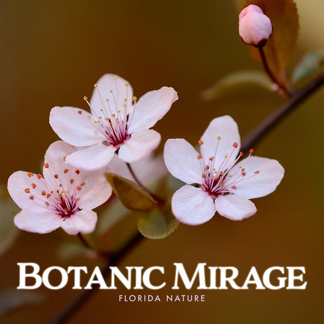 Botanic Mirage