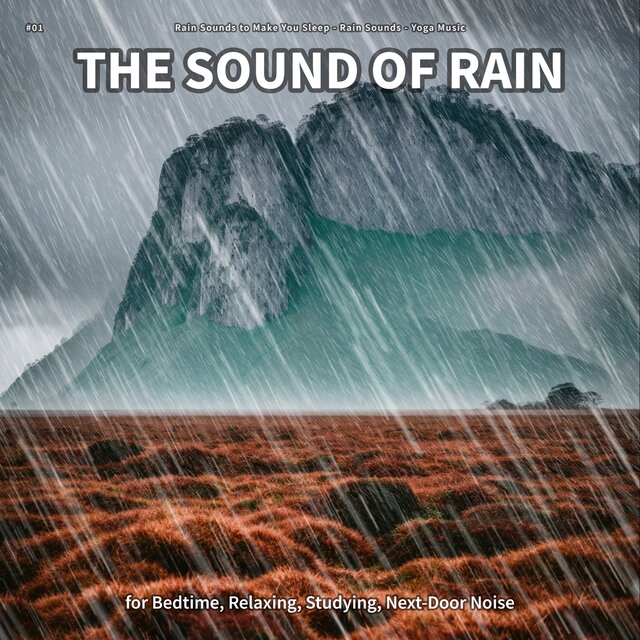 #01 The Sound of Rain for Bedtime, Relaxing, Studying, Next-Door Noise