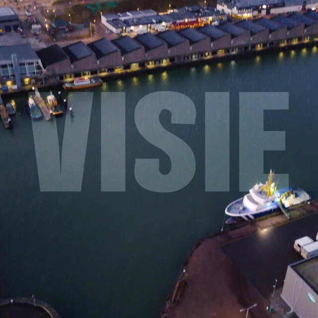 Visie (feat. Link)