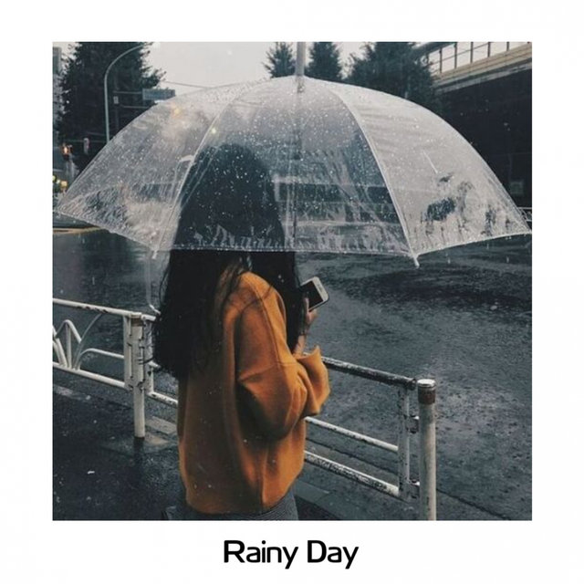 Rainy Day
