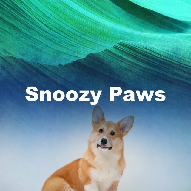 Snoozy Paws