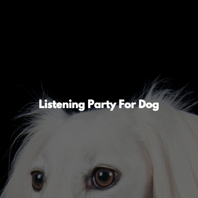 Listening Party For Dog