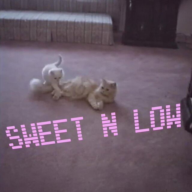 Sweet n Low