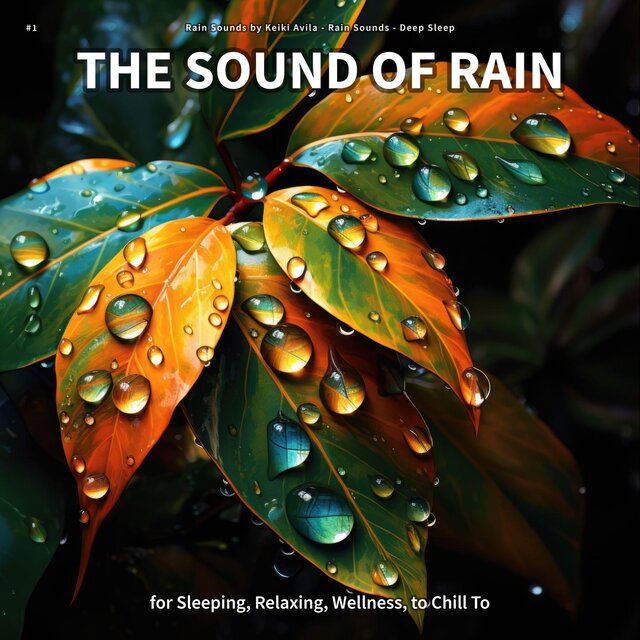 #1 The Sound of Rain for Sleeping, Relaxing, Wellness, to Chill To