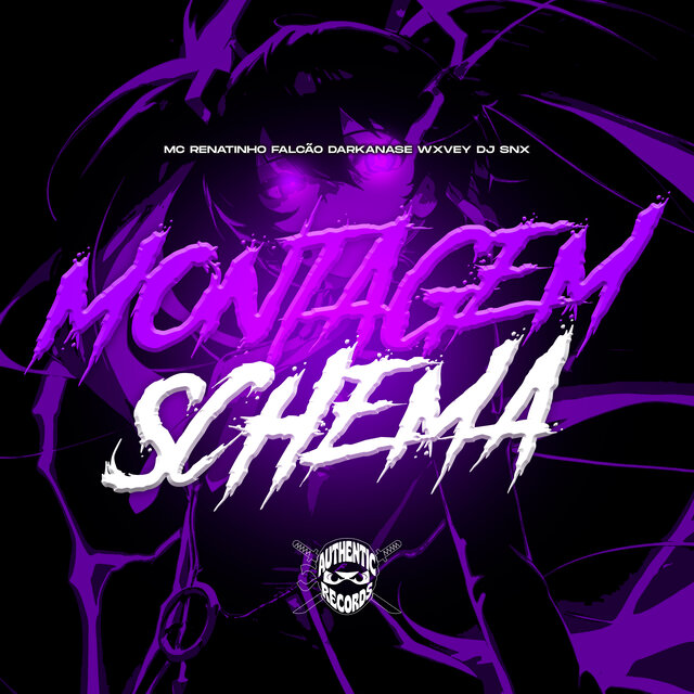 Montagem Schema