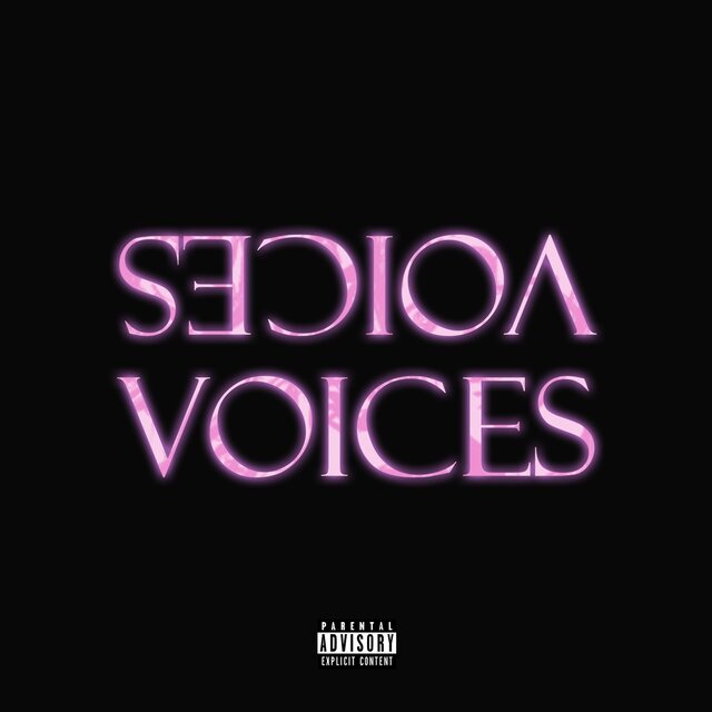 Voices