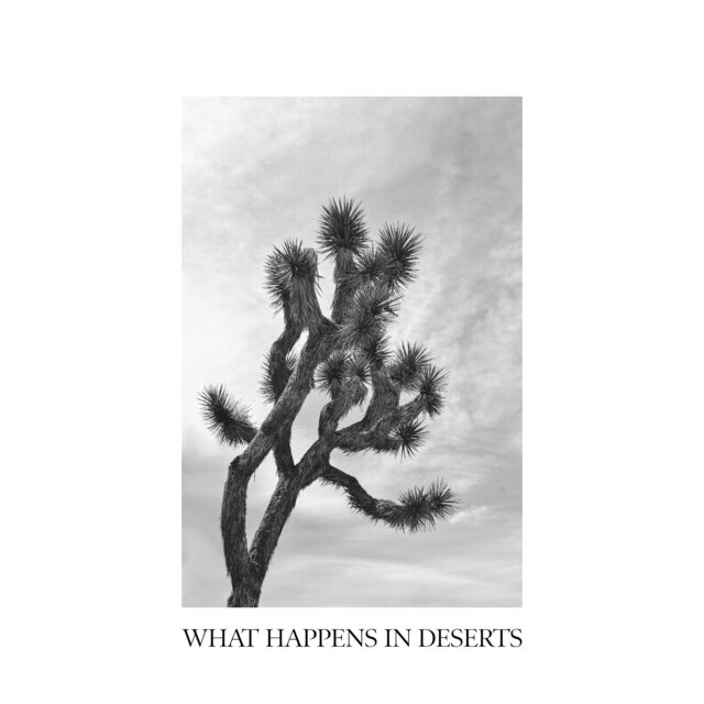 What Happens in Deserts