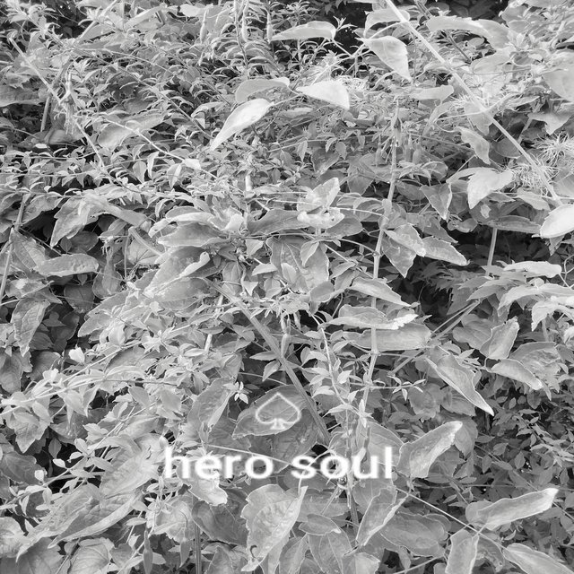 Hero Soul
