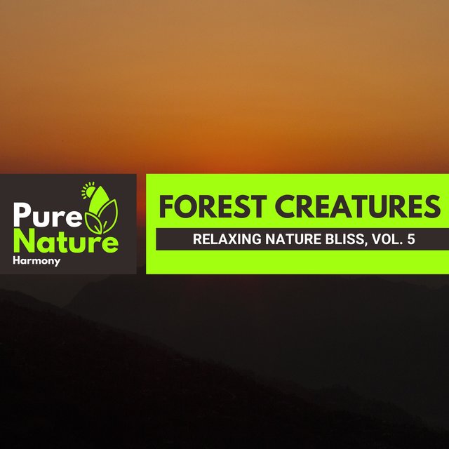 Forest Creatures - Relaxing Nature Bliss, Vol. 5