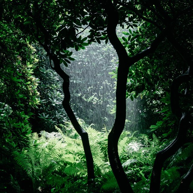50 Sounds of Sleep - Calming Lullabies for Sleep