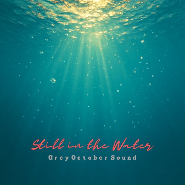 Still in the Water
