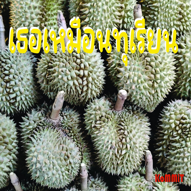 เธอเหมือนทุเรียน