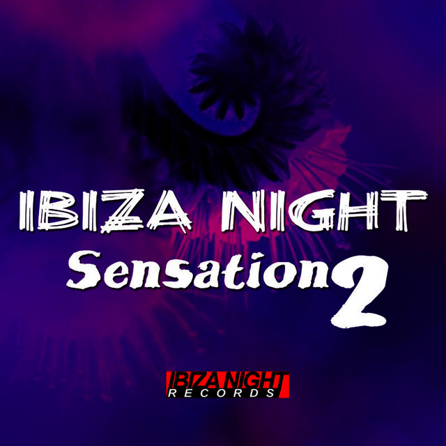 Ibiza Night Sensation Vol. 2