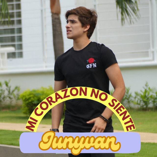 Mi Corazón No Siente
