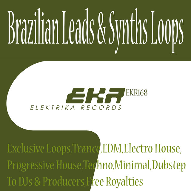 Brazilian Leads & Synths Loops