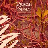 Reach Yonder