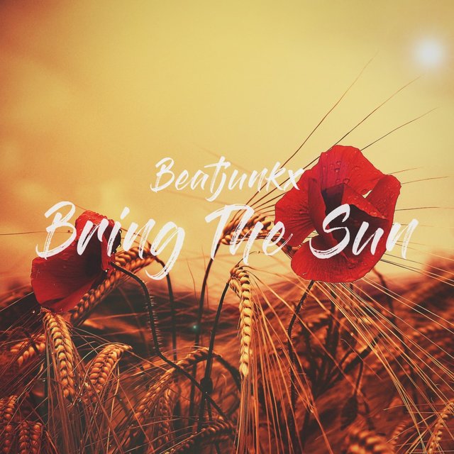 Bring The Sun