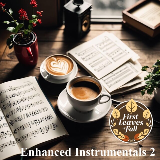 Enhanced Instrumentals 2