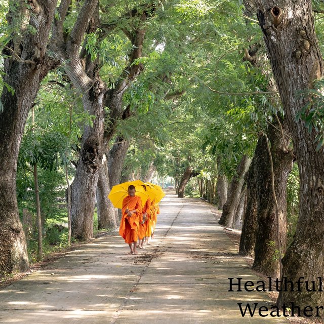 Healthful Weather
