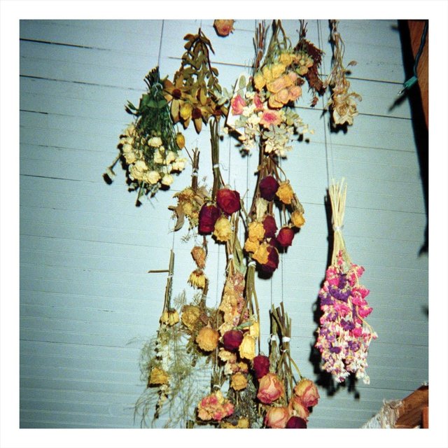 Songs I Didn't Think About
