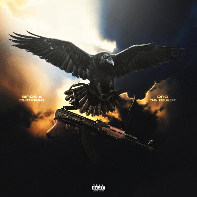 BIRDS & CHOPPAS