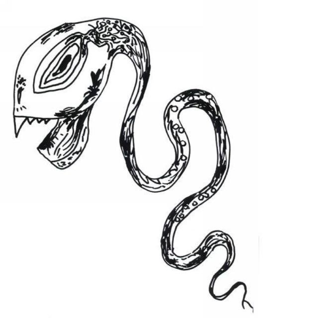 Snake23