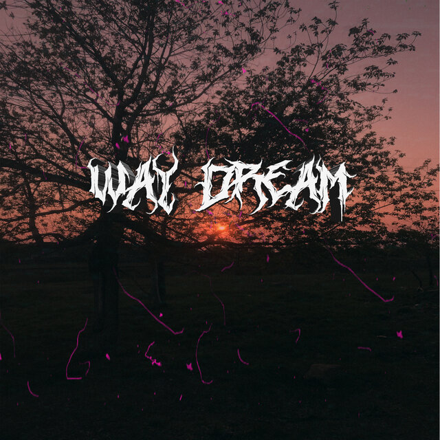 WAY DREAM