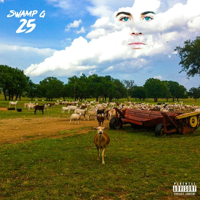 25