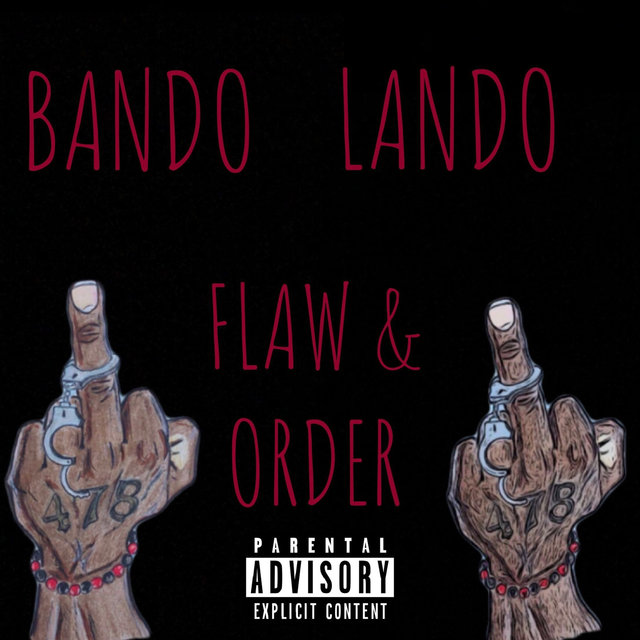 Flaw & Order