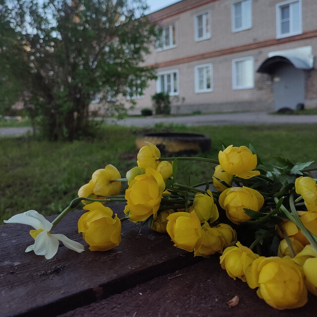 Старт взрослой жизни