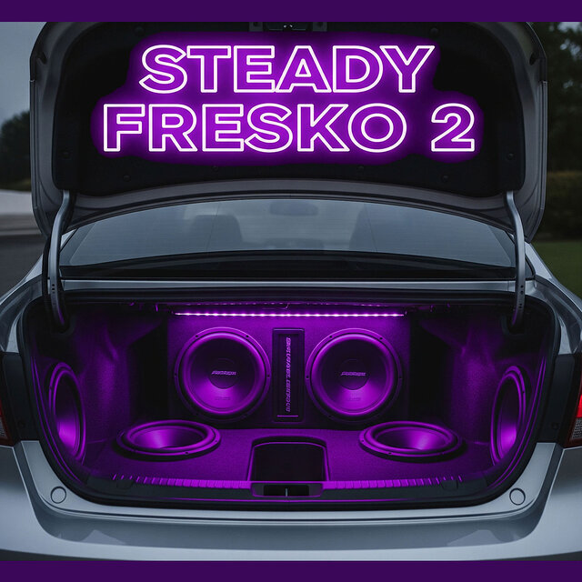 Steady Fresko 2